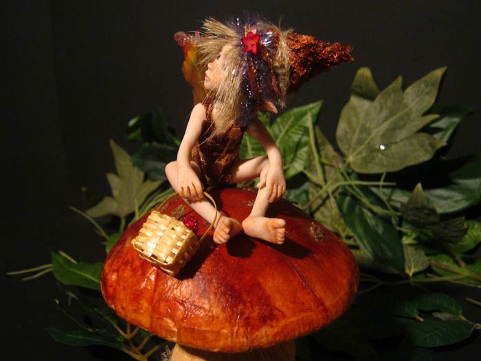 Pixie Aki sul Fungo nel Bosco delle Fragole